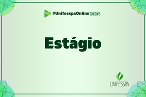 Artes do UnifesspaOnline 2024 5